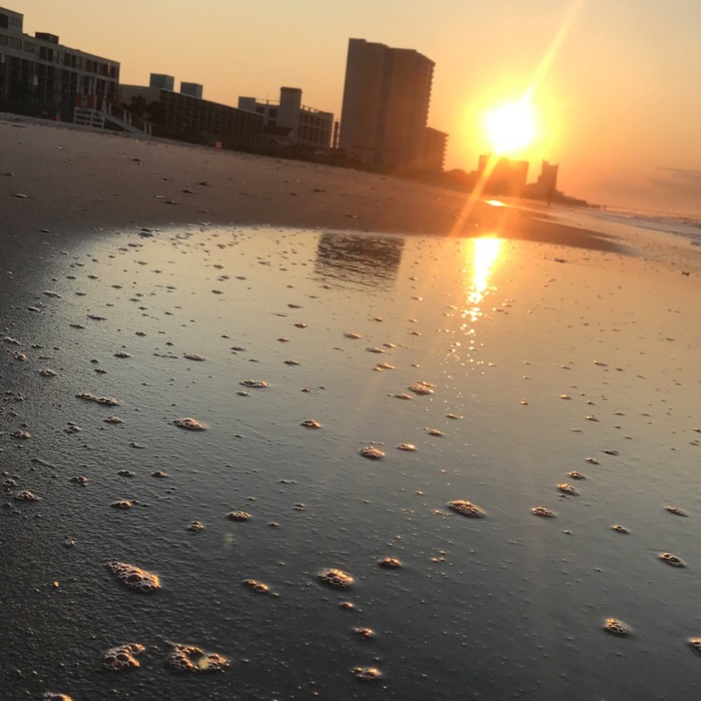 Meet your Posher, Autumn